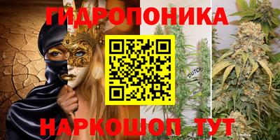 крисы Тверь