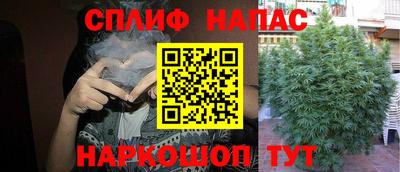 прущая мука Тара